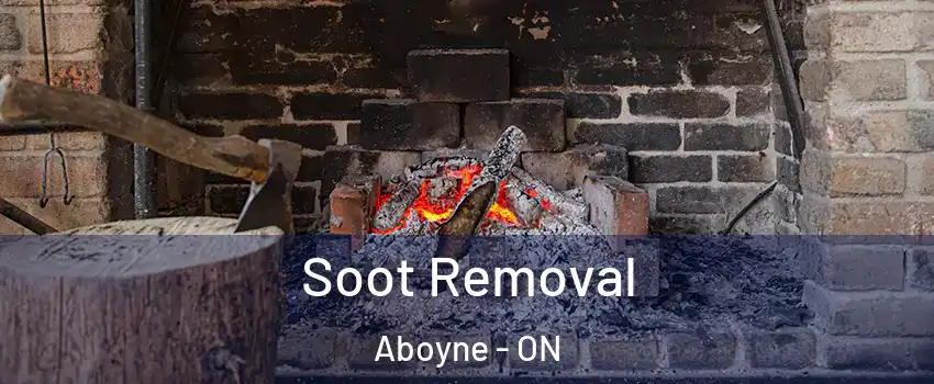  Soot Removal Aboyne - ON
