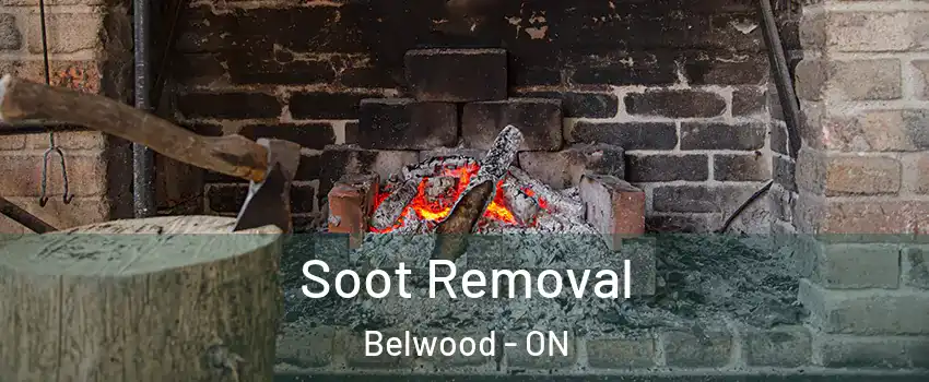  Soot Removal Belwood - ON
