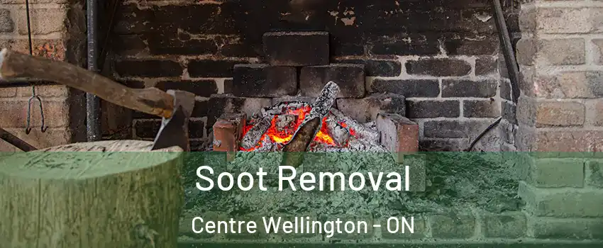  Soot Removal Centre Wellington - ON
