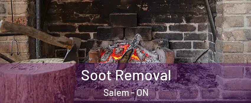  Soot Removal Salem - ON
