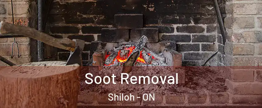  Soot Removal Shiloh - ON