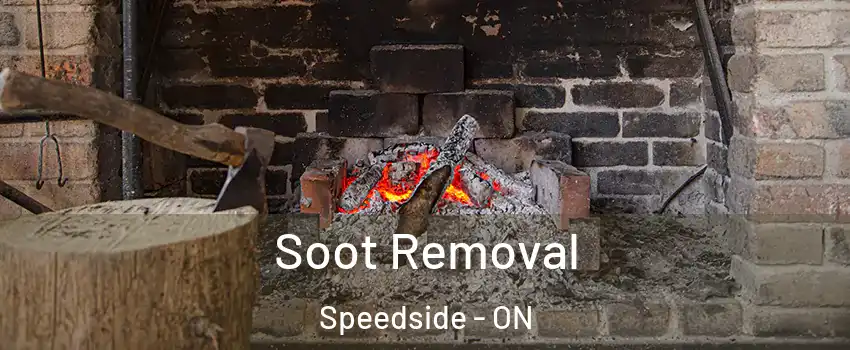  Soot Removal Speedside - ON