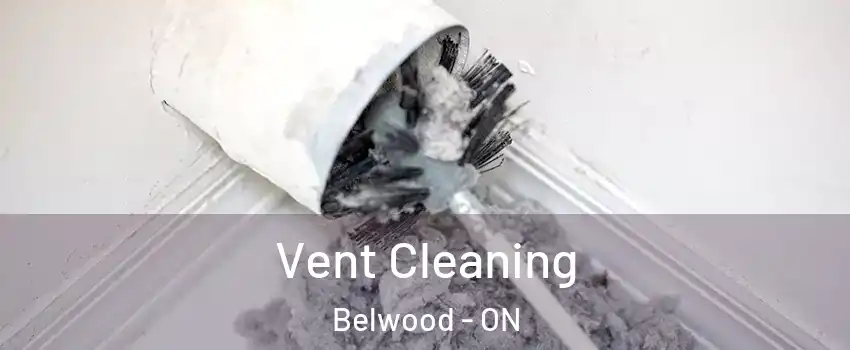  Vent Cleaning Belwood - ON