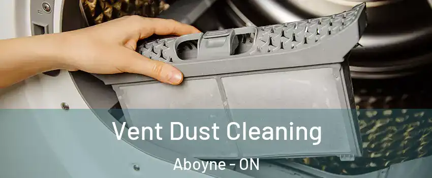 Vent Dust Cleaning Aboyne - ON