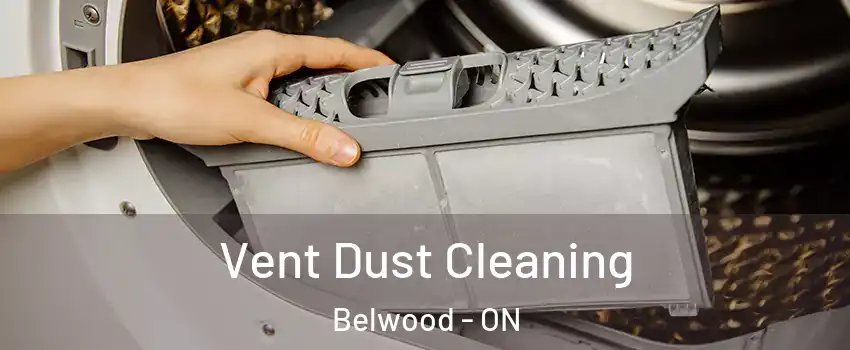  Vent Dust Cleaning Belwood - ON