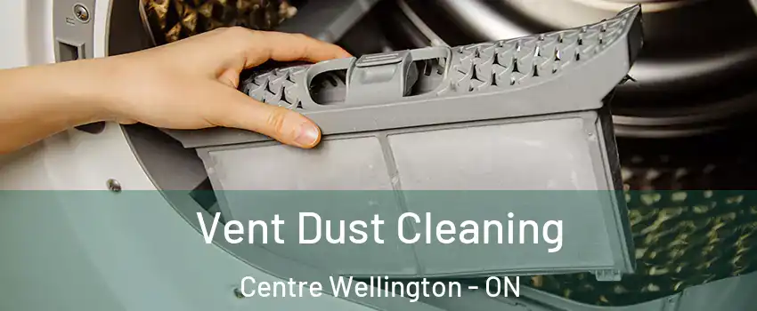  Vent Dust Cleaning Centre Wellington - ON
