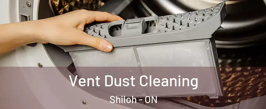 Vent Dust Cleaning Shiloh - ON