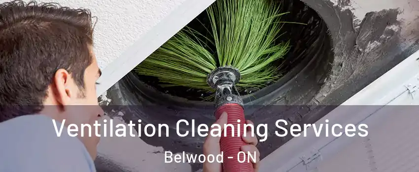 Ventilation Cleaning Services Belwood - ON