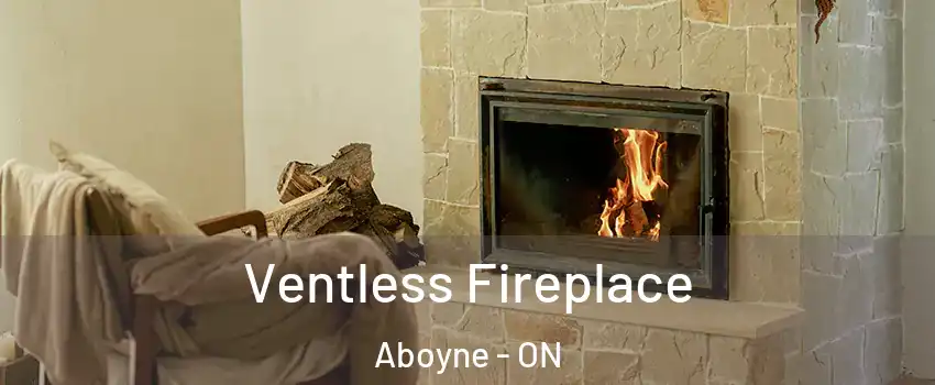Ventless Fireplace Aboyne - ON
