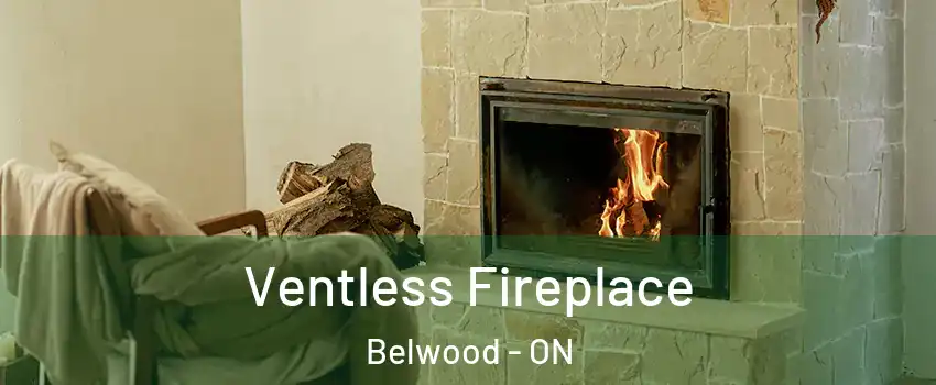  Ventless Fireplace Belwood - ON