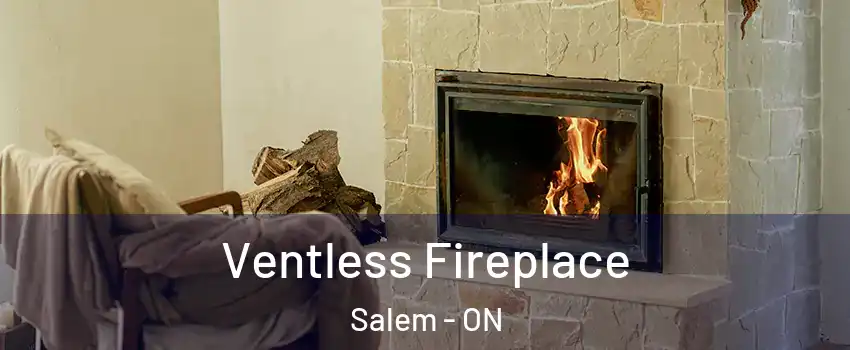  Ventless Fireplace Salem - ON