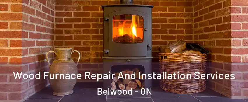 Wood Furnace Repair And Installation Services Belwood - ON