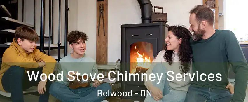  Wood Stove Chimney Services Belwood - ON
