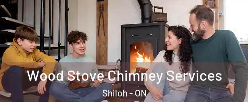 Wood Stove Chimney Services Shiloh - ON