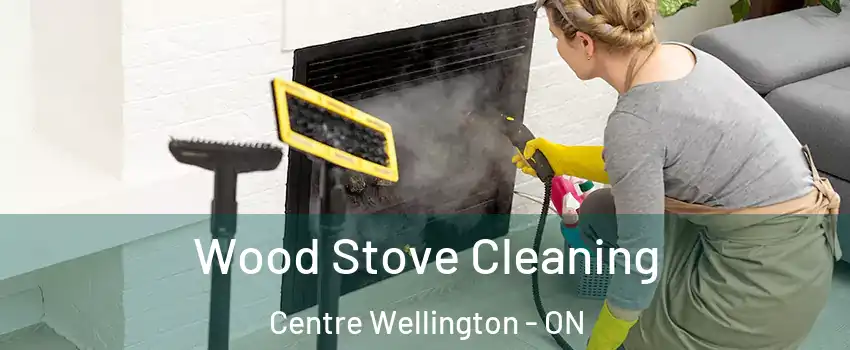  Wood Stove Cleaning Centre Wellington - ON