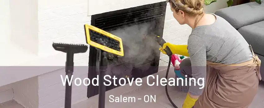  Wood Stove Cleaning Salem - ON
