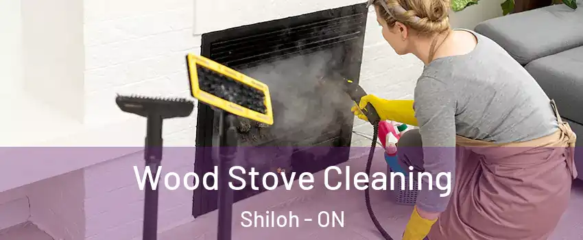 Wood Stove Cleaning Shiloh - ON