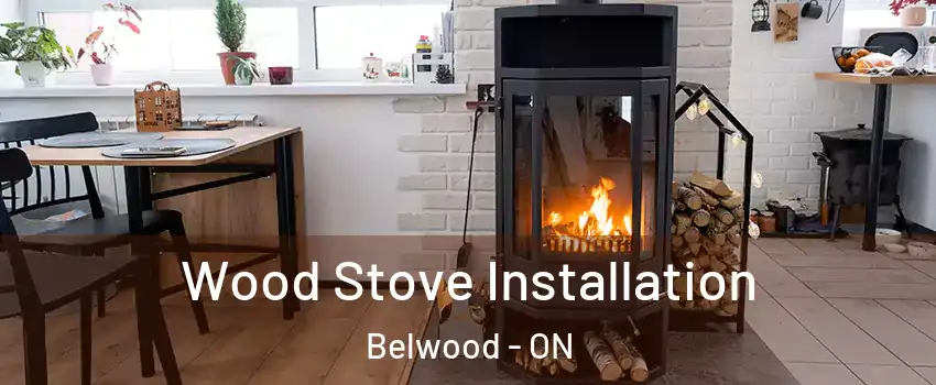  Wood Stove Installation Belwood - ON
